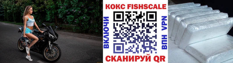 кракен онион  Медногорск  Cocaine Fish Scale 