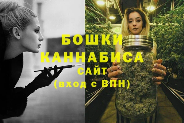 шишки Дубовка