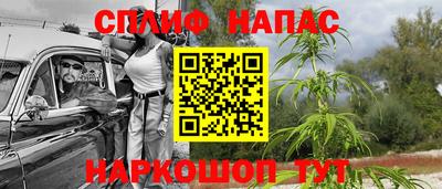 СК Камышлов