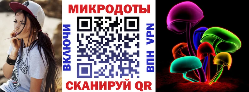 Галлюциногенные грибы Psilocybe  Медногорск 