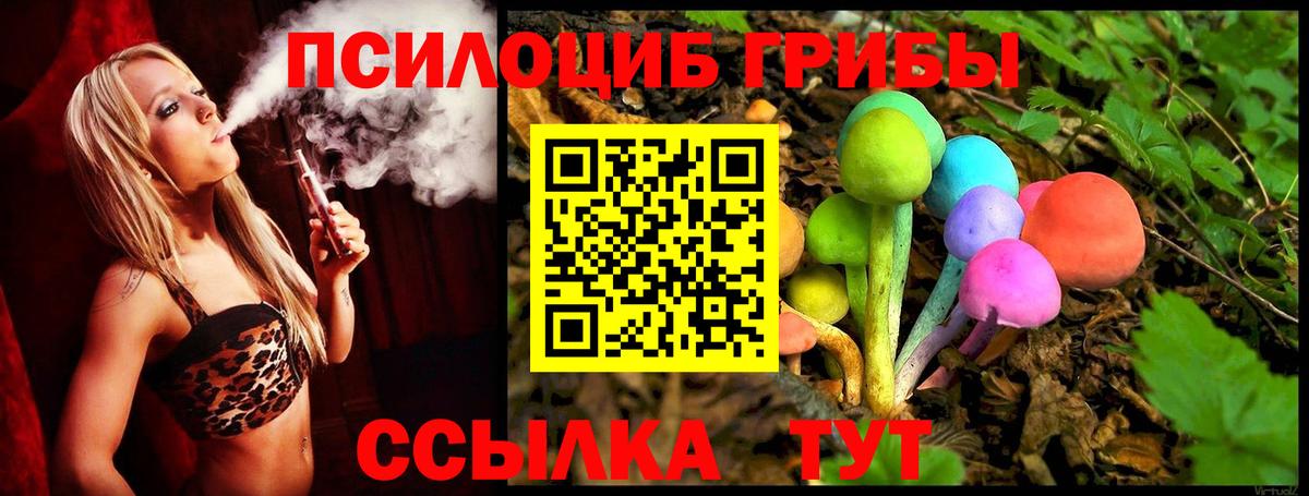 Медногорск  Псилоцибиновые грибы MAGIC MUSHROOMS  Вход с VPN 